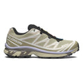 Salomon XT-6 Gore-Tex Eucalyptus/Silver Sage